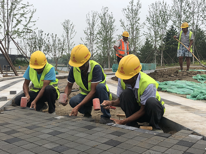 建筑垃圾再生海绵砖走进北京“绿肺”温榆河公园图片